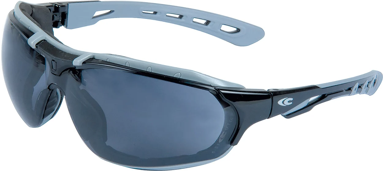 Lunettes de protection MODULAR CARE grises avec sangle COFRA